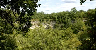 Forêt de la Braconne