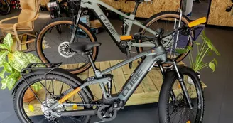 Location vélos Cycles Demion - Saint-Trojan les Bains