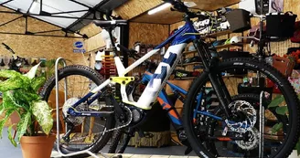 Location vélos Cycles Demion - Saint-Trojan les Bains