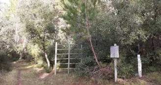 Forêt des Saumonards Forêt des Saumonards
