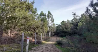 Forêt des Saumonards Forêt des Saumonards