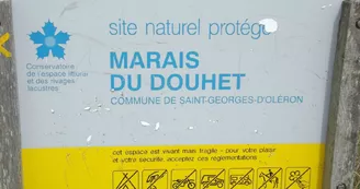 Marais du Douhet Marais du Douhet