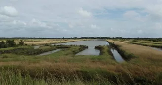 Marais du Douhet Marais du Douhet