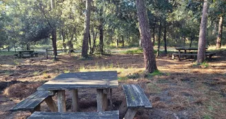 Aire de pique-nique - forêt domaniale