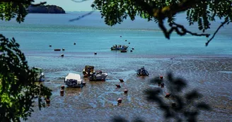 Point de vue - La Corniche