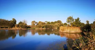 Lac de la Lande