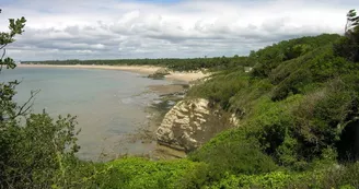 Point de vue - La Pointe de Suzac