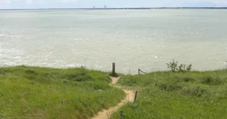 Point de vue - La Pointe de Suzac