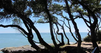 Le Sentier des Douaniers