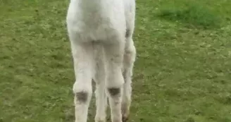 Parc animalier de l'élévage du ferron