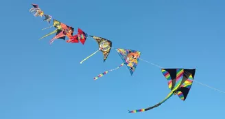 Petit Musée du Cerf-Volant - Les Vents de Tao