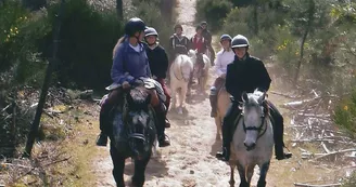 Poney Découverte