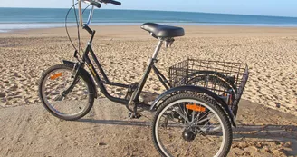 Les vélos de l'Ile de Ré à La Flotte