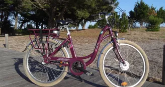 Tout à Vélo au Bois Plage