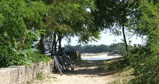 Cyclo Surf à La Flotte