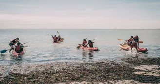 Cours de catamarans et de planche à voile ado/adultes/famille par Ile de Ré Voile à Loix