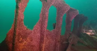 Plongée sous-marine par le Nautilus d'octobre à mai (entraînement et formation)