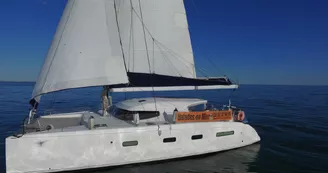 Sortie Matinée en catamaran - Catamaran La Rochelle