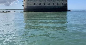 Sortie demi-journée après-midi en catamaran - ​Catamaran La Rochelle