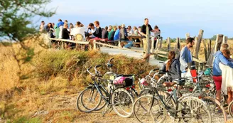 Location et livraison de vélos par Cycland Ars-en-Ré