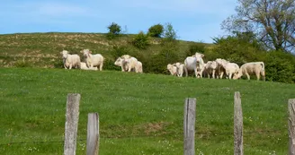 Les Baumes de Tersanne - village de gîtes