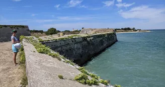 Le Fort la Prée - Groupes