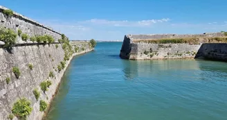 Le Fort la Prée - Groupes