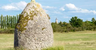 Les Saloches - Nieulle-sur-Seudre