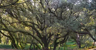 Découvrez la faune et la flore rétaises