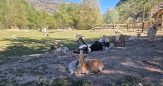 Écozootopia - Parc animalier pédagogique