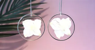 Blossom
