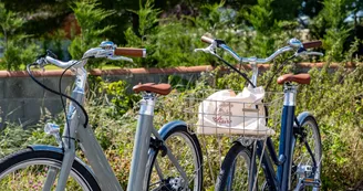 Location de vélo électrique