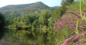 Aire de service camping-car au camping le Mas du Serre Aire de service camping-car au camping le Mas du Serre