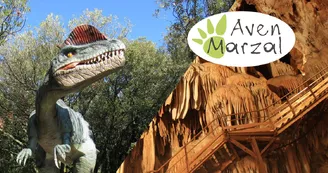 Aven Marzal : Grotte Aven Marzal : Grotte