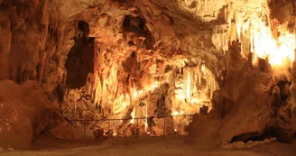Aven Marzal : Grotte Aven Marzal : Grotte