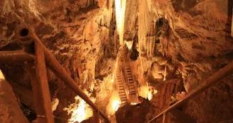 Aven Marzal : Grotte Aven Marzal : Grotte