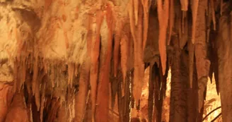 Aven Marzal : Grotte Aven Marzal : Grotte