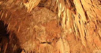 Aven Marzal : Grotte Aven Marzal : Grotte