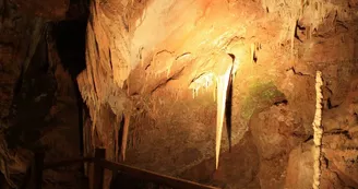 Aven Marzal : Grotte Aven Marzal : Grotte