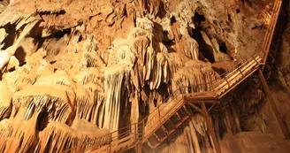 Aven Marzal : Grotte Aven Marzal : Grotte