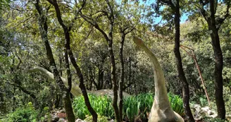 Aven Marzal : Grotte Aven Marzal : Grotte