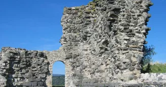 Tour et ruines du château de La Roche