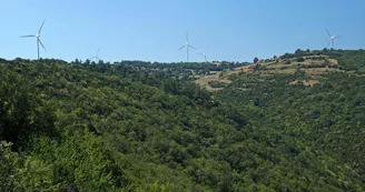 Parc éolien