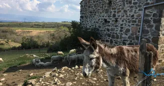 Tente Trappeur - La Ferme de Simondon