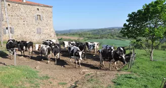 Ferme de Réat