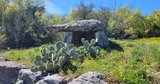 Gîtes Le Dolmen Gîtes Le Dolmen
