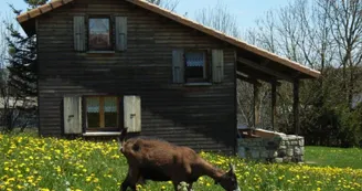 Ferme de Montmoulard - Gîte La Source