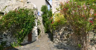 Saint-Vincent-de-Barrès : Village de caractère