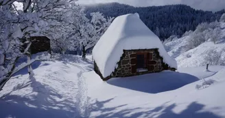 Gîte Chaumière dans un écrin de nature