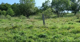 Gîte de la Forêt